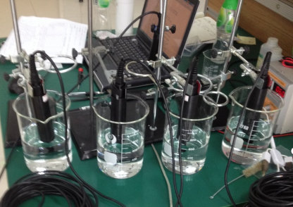 光学溶解氧传感器校准和维护方法